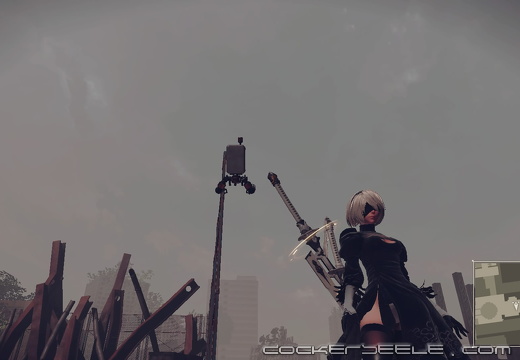 NieR Automata 20181004215657
