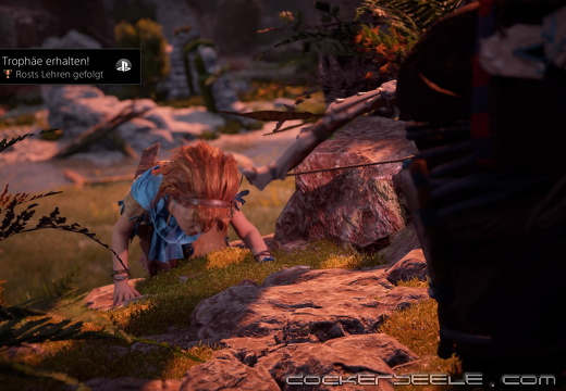 Horizon Zero Dawn™ 20200208190521