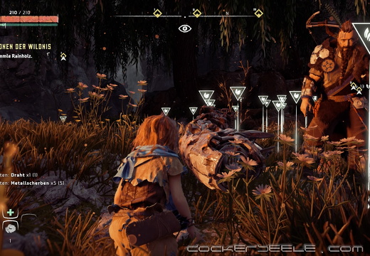 Horizon Zero Dawn™ 20181225131330