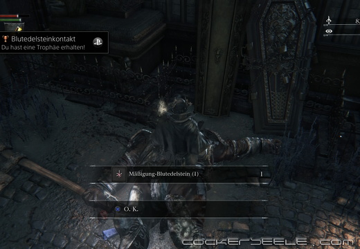 Bloodborne™ 20150423202515