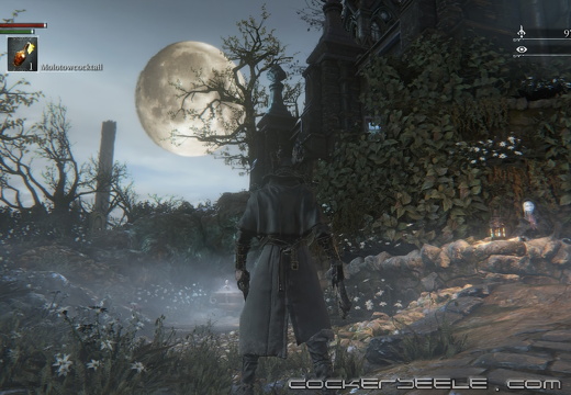 Bloodborne™ 20150423200419