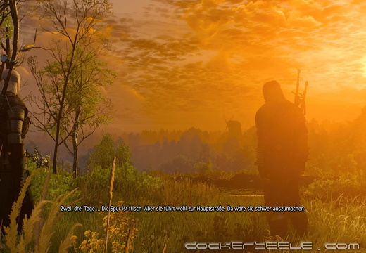 The Witcher 3  Wild Hunt 20221214220055