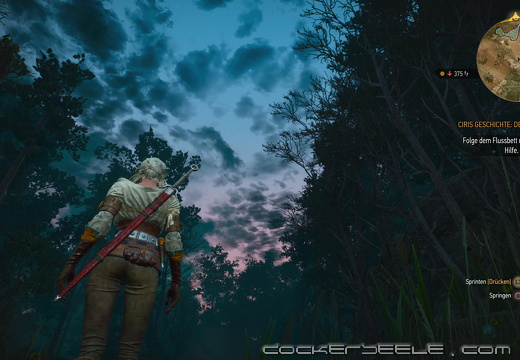 The Witcher 3  Wild Hunt 20221217192219