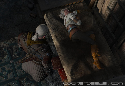 The Witcher 3  Wild Hunt 20230319223554