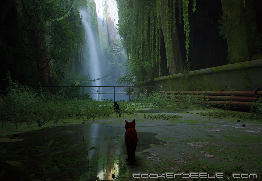 Stray 20221002005347
