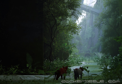 Stray 20221002010125
