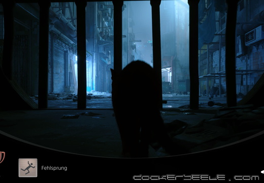 Stray 20221002010649