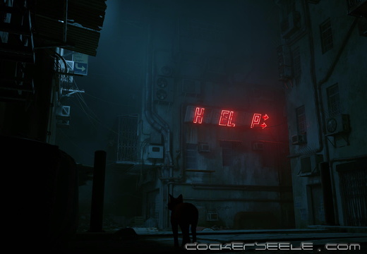 Stray 20221002011452