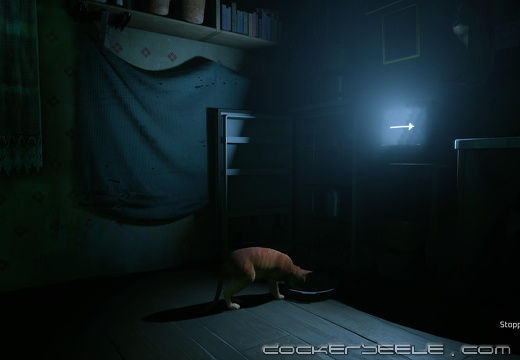 Stray 20221002012259
