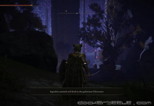 ELDEN RING™ 20220321204431