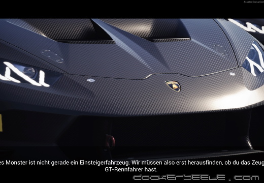 Assetto Corsa Competizione 20240828211228