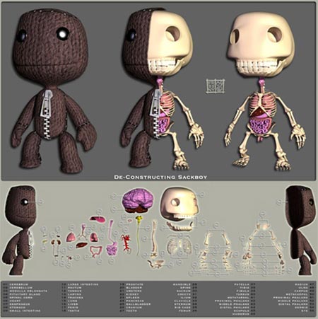 die anatomie eines sackboy die anatomie eines sackboy