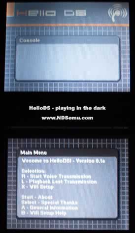 nintendo ds lite: voip? nintendo ds lite: voip?