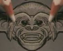 monkey monkey