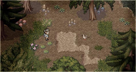 preview: a bird story
