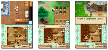 screens: harvest moon grand bazaar screens: harvest moon grand bazaar